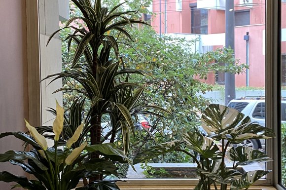Des plantes artificielles pour l'entrée d'un immeuble dans le quartier de la Tête d'Or
