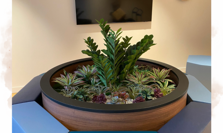 Aménagement paysager d'intérieur avec des plantes artificielles pour une cabinet de médecine d'esthétisme entre Brotteaux et La Part-Dieu