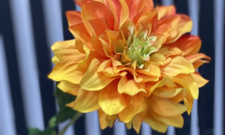 De nouvelles fleurs artificielles pour le printemps au nord de Lyon