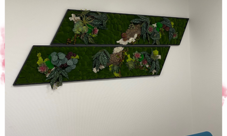 Des tableaux Végétaux en plantes artificielles pour l'agence MMA à Neuville sur Saône 