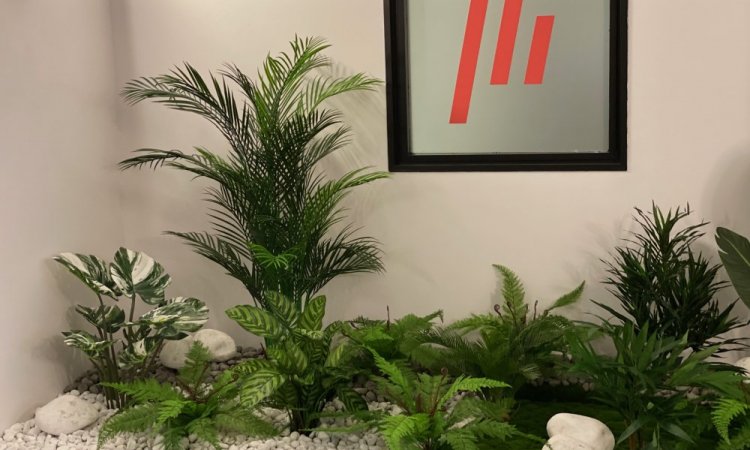 Des plantes artificielles pour embellir l'accueil d'un cabinet d'avocats à Lyon 69003
